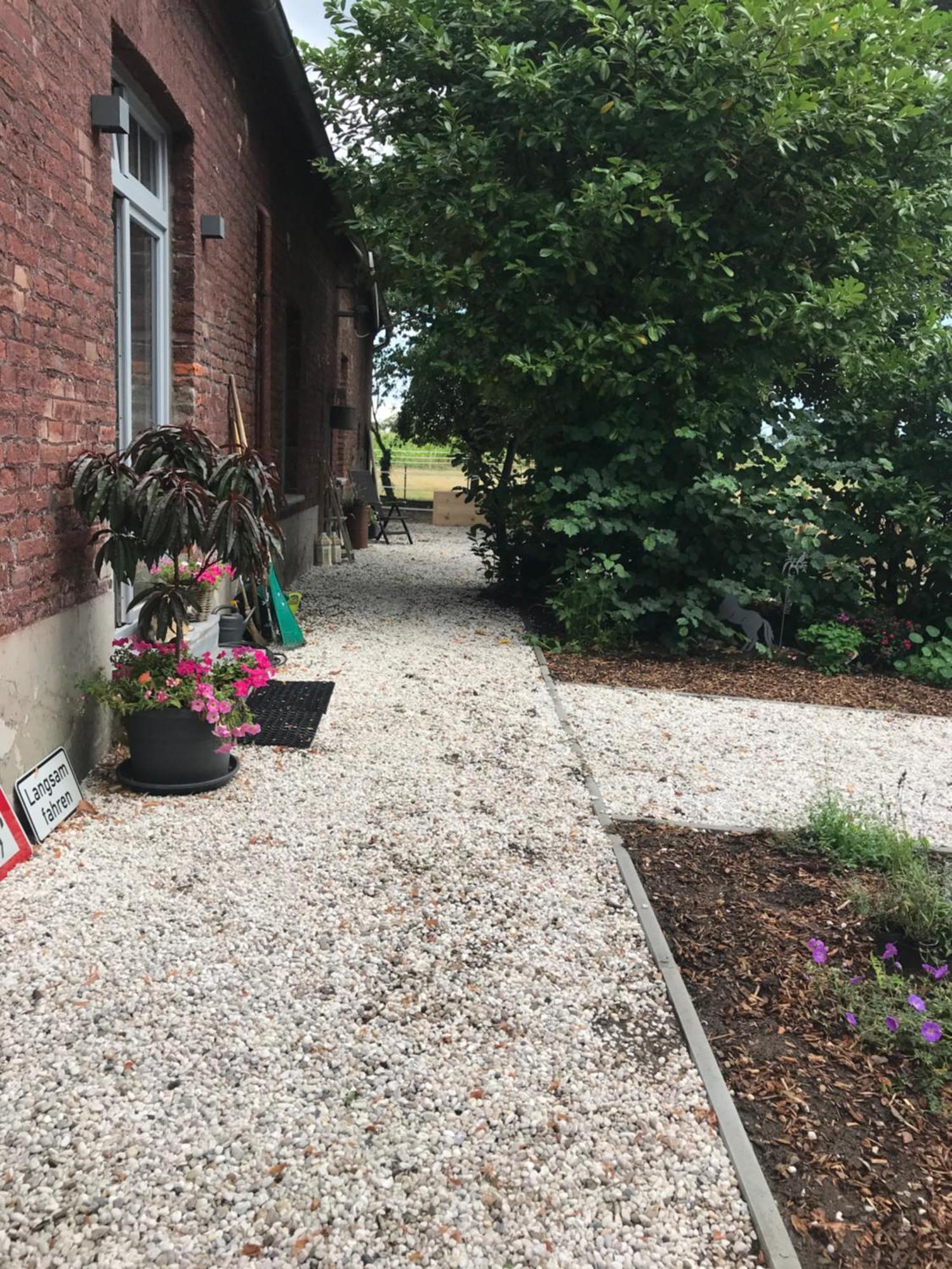 Ks Kotten Bed And Breakfast Rees Exterior photo